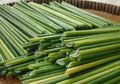 Gantikan Plastik Sekali Pakai, Pria Ini Bikin Rumput Liar Jadi Sedotan