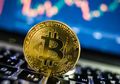 Terungkap, Tipikal Investor Aset Kripto di Indonesia Menurut Laporan Tokenomy dan Indodax
