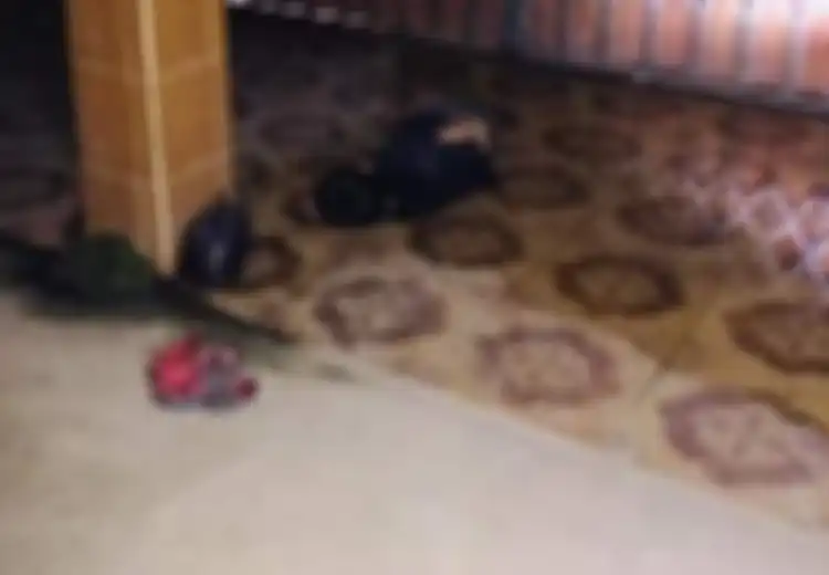 Viral, Layaknya Gelandangan Tidur Di Emperan Teras, Penyebab Sebenarnya Bocah Sampai Demikian Ternyata Lebih Mengenaskan Lagi