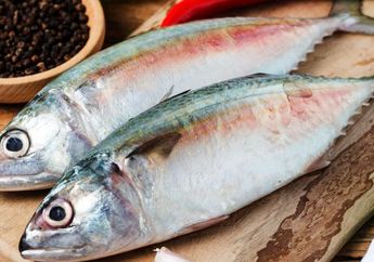 Enaknya Tak Sebanding Bahayanya, Tolong Stop Makan Ikan Jenis Ini Jika Masih Sayang Nyawa, Efeknya Ngeri Kalau Masih Ngeyel