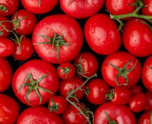 Jangan Kaget! Cuma dengan Tomat Kamu Bisa Dapatkan Kulit Glowing Bersinar dan Rasakan 4 Manfaat Ini