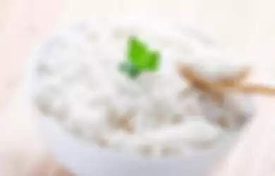 Takaran porsi ideal makan nasi.