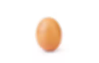 Foto telur di akun @world_record_egg yang mulai retak