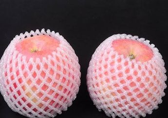 Jangan Dibuang! Jaring Buah Ternyata Begitu Dibutuhkan untuk Kegiatan Sehari-hari, ini Alasannya