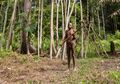 Suku Kanibal Terakhir di Dunia Ini Hidup Damai di Papua, Berdampingan Dengan Alam dan Tidak Serakah, Potretnya Menakjubkan