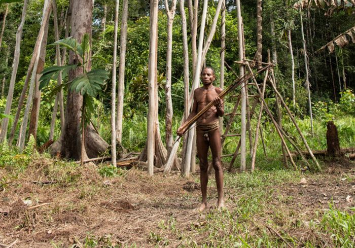 suku Korowai membangun rumah di atas pohon yang melindungi dari roh jahat yang bersembunyi di antara kanopi hutan