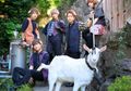 Unik! Seekor Kambing Jadi Salah Satu Member Idol Group di Jepang