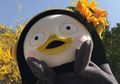 Orang-orang di Korea Selatan Lebih Suka Pengsoo Si Penguin daripada BTS