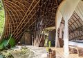 Mengenal Bambu Material Aman Gempa, Cara Cegah dari Serangan Rayap