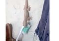 Beredar Video Cicak yang Hobi Jilati Sikat Gigi, Tembakau dan Kopi Ternyata Bisa Jadi Alternatif Cara Mengusir Cicak
