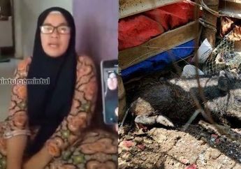 Diusir Warga Usai Seenak Jidat Tuding Tetangga Pelihara Babi Ngepet, Emak-emak Penyebar Rumor Pesugihan di Depok Kini Kembali Ketiban Sial, Borok Kelakuannya Dibongkar Sosok Ini