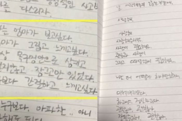 Catatan peninggalan Goo Hara sebelum bunuh diri.