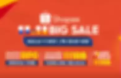 Shopee 11.11 Big Sale