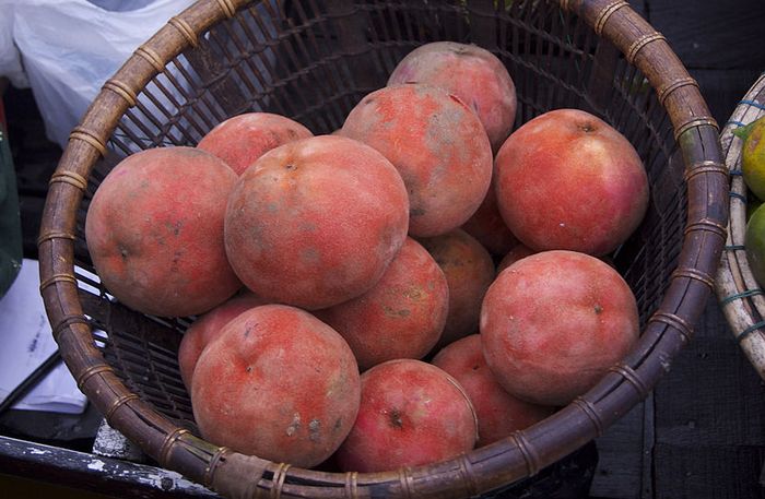 Apa Saja Buah Langka di Kebun Raya Bogor? Materi Belajar dari Rumah SD
