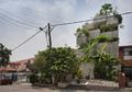 Intip Konsep Desain Urban Farming di Planter Box House, Cara Mudah Bercocok Tanam di Rumah