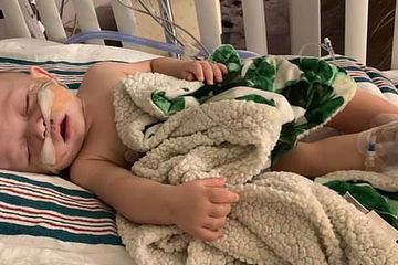 Berita Kesehatan Popular: Gaya Minum Susu Seperti Ini Bisa Sebabkan Infeksi Telinga, dan Minuman Ini Racun Bagi Bayi tapi Jarang yang Tahu
