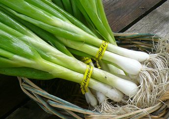 Moms, Ini 7 Manfaat Yang Diperoleh Bila Mengonsumsi Daun Bawang