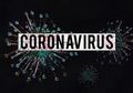 Jadi Kabar Buruk di Awal Bulan Syawal Terkait Virus Corona, Tangan Kanan Jokowi Beberkan Para Ahli Seluruh Dunia Belum Temukan Titik Terang Terkait Vaksin Corona, Tanda Dunia Belum Bisa Bebas dari Virus Corona?