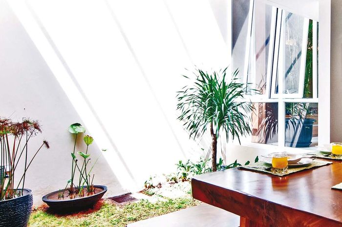 Menciptakan Ruang Makan Bernuansa Alam, Ini 5 Langkah dan Elemennya - iDEA