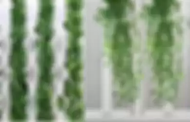 Ilustrasi tanaman palsu atau tanaman artificial yang digunakan untuk hiasan.