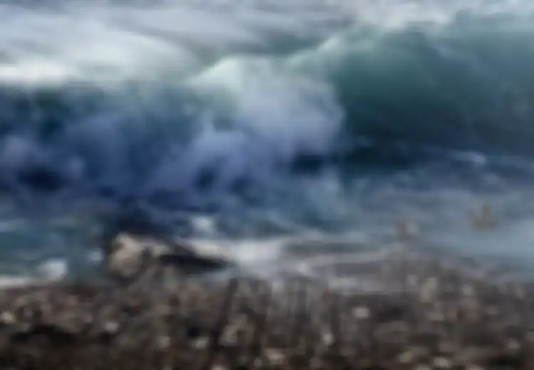 Bahaya Tsunami Mengintai Laut Selatan Pulau Jawa, BMKG Ungkap Skema 20-20-20 Tentang Risiko Tsunami yang Diprediksi Akan Kembali Terjang Indonesia