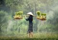 Yakin Bahan Pangan di Rumah Sudah Berkualitas? Coba Intip Cara Mengukurnya dari Pemaparan Ahli Ini, Moms!