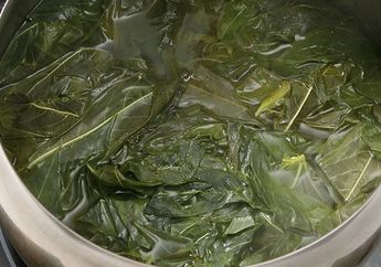 Mulai Malam ini, Coba Rebus Daun Singkong Lalu Minum Airnya, Seisi Rumah Bisa Selamat dari Penyakit Mematikan ini