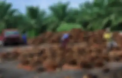 Tajir Melintir! Inilah 5 Orang Paling Kaya di Indonesia Berkat Bisnis Sawit, Salah Satunya Juga Bos Mie Instan dengan Harta Capai Rp76 Triliun