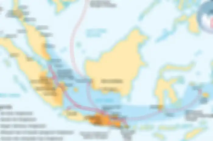 Berbagai kebijakan politik luar negeri dilakukan oleh Kertanegara untuk memperluas wilayah Kerajaan Singasari. Yang terkenal Ekspedisi Pamalayu.