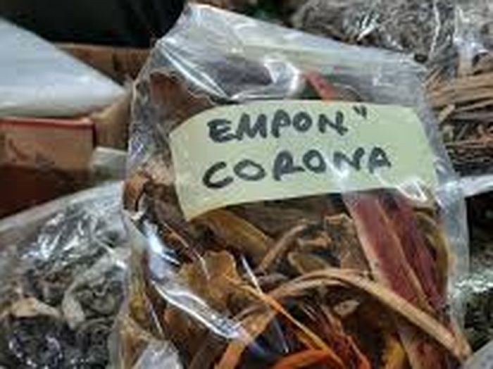 Benarkan Empon-empon Mampu Menangkal Virus Corona, Berikut Faktanya
