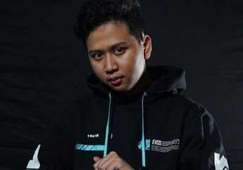Tips dan Trik Bermain Role Support di PUBG Mobile Ala EVOS Microboy