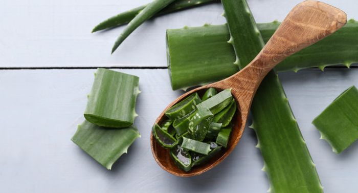 Lidah buaya untuk mencerahkan siku yang menghitam