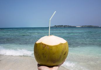 Jangan Mengonsumsi Air Kelapa Bila Kamu Mengalami Kondisi ini, Bahaya Bagi Kesehatan!