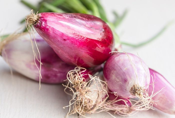 Para Suami Wajib Tahu Makan 1 Siung Bawang Merah Sebelum Tidur Ampuh Naikan Gairah Di Ranjang Semua Halaman Sajian Sedap Para Suami Wajib Tahu Makan 1 Siung Bawang Merah Sebelum Tidur Ampuh Naikan Gairah Di Ranjang Semua Halaman Sajian Sedap