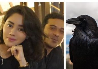Saphira Indah dan Sepupunya Meninggal Usai Kedatangan Burung Misterius di Malam Hari, Firasat Aneh?