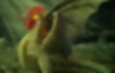Dapat Membunuh dengan Sekali Tatapan: Berkepala Ayam Jago, Bermata Katak, Kulitnya Berkutil dan Bersisik, 'Monster' Ini Konon Sungguh Berbisa