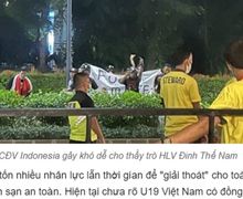 Media Vietnam: Suporter Indonesia Memperburuk Citra Sepak Bola Negara Ini!
