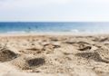 Peneliti Memprediksi Tahun 2100 Setengah Pasir Pantai di Seluruh Dunia Lenyap, Ada 7 Negara yang Disebut Terdampak Paling Parah