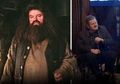 Hagrid, Raksasa Kuat Harry Potter Kini Harus Rela Duduk di Kursi Roda