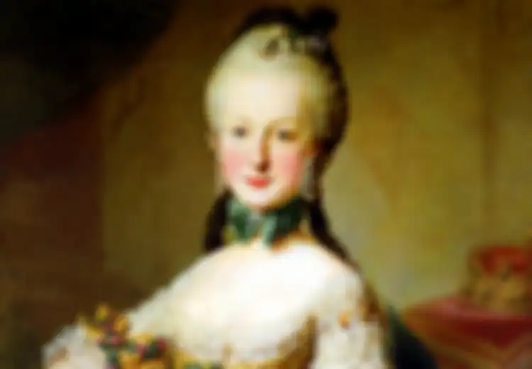 Ditembakkannya Pistol Hadiah dari Suaminya pada Gundik Suaminya Sendiri, Inilah Kisah Elisabeth Marie dari Austria, Akhir Hidupnya Sungguh Tragis Bahkan Dikuburkan Tanpa Nama