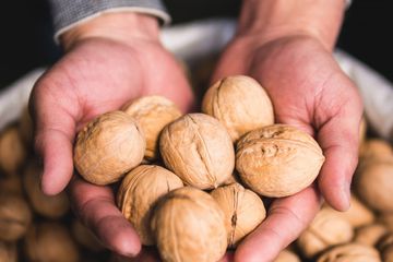 Yuk Simak Manfaat Kacang Walnut Untuk Pria 