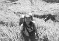 Siska Nirmala, Jalan-Jalan Minim Sampah Bisa Dilakukan Setelah Pandemi
