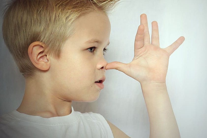 Rangkuman Dan Soal Mengenal Sistem Pernapasan Manusia Materi Belajar Dari Rumah Tvri Untuk Sd Kelas 4 6 Semua Halaman Kids Rangkuman Dan Soal Mengenal Sistem Pernapasan Manusia Materi Belajar Dari Rumah Tvri Untuk Sd Kelas 4 6 Semua Halaman Kids