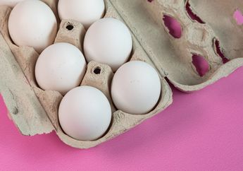 Populer dan Sering Dilakukan, Stop Diet Telur Lagi Mulai Sekarang atau Akan Menyesal