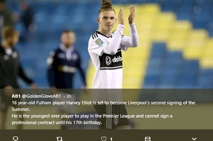 Pemain Fulham, Harvey Elliott