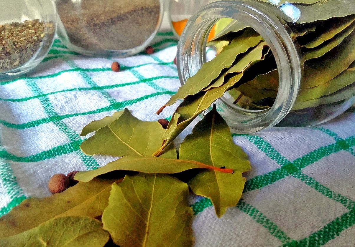 лавровый и лимон. лавровый лист индана 10г. лавровый и лимон. жиросжигающий напиток из лимона. настой из лавровых листьев.