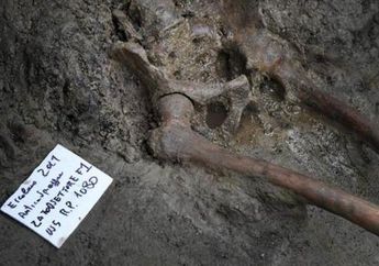 Kisah Pilu Pria yang Gagal Melarikan Diri dari Letusan Vesuvius