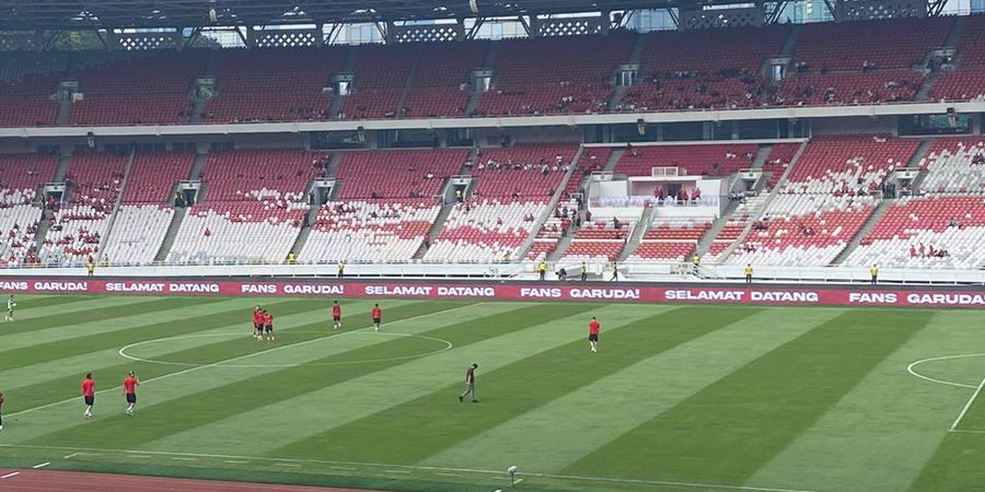 Timnas Indonesia Vs Australia, Gelora Bung Karno Dikebut Pakai Rumput dari Jawa