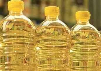Demi Selamatkan Dompet, Simak Tips Menyimpan Minyak Goreng Agar Tahan Lama Sampai Berbulan-bulan, Dijamin Gak Bau Tengik!