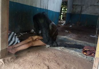 Wanita Lumpuh Hidup Sendiri dalam Kondisi Buta di Sebuah Gubuk, Rambut Jadi Sarang Tikus Sampai Meminta Dikeramas, Naas